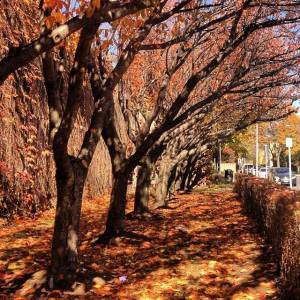 1385573_10200923766312124_1832851316_n