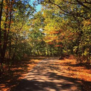 Dorchester Park, Boston
