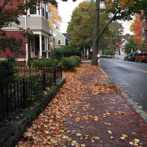A street in Cambridge, just north of HGSE on the walk back from my practicum site.
