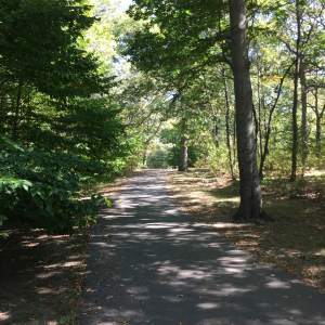 Dorchester Park, a twenty minute walk away