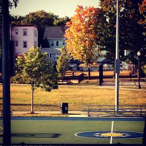the park across the street (taken from the front window of my dining room in fall 2014)