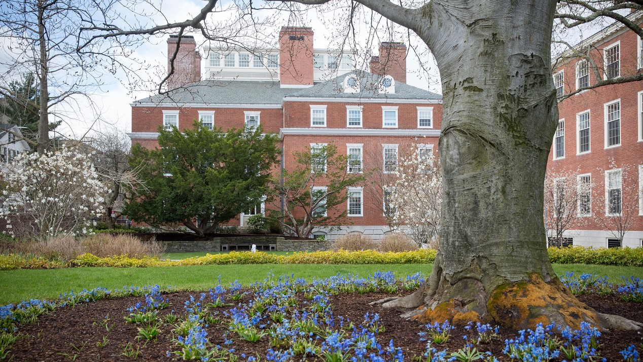 Student Reflections: Favorite Class at HGSE (Part 2)